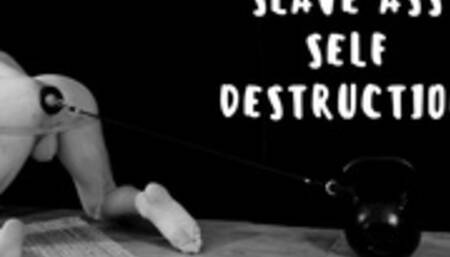 SLAVE ASS SELF DESTRUCTION - HD - Wilder Holes