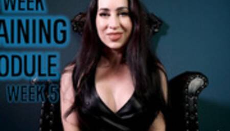 6 Week Training Module: Week 5