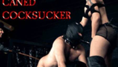 Caned Cock Sucker