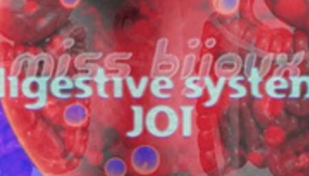 DIGESTIVE System JOI (HD Visualizer)