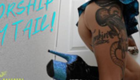 WORSHIP GODDESS TAIL!!!