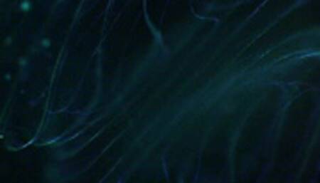 Our Eager Wanker *wmv*