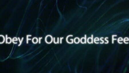Obey for our Goddess Feet *mp4*