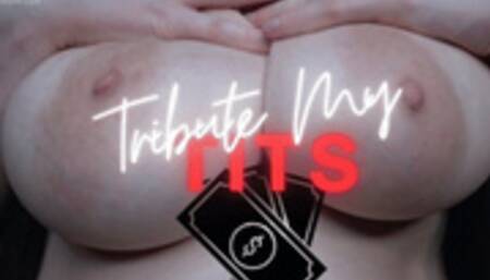 Tribute My Tits