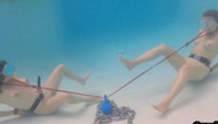 Aquaphilias- Indica Vika Underwater Tug of War- PERIL