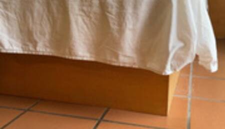 Dominated by the Fishnet Goddess by Milah and Katherine