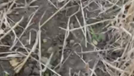 very muddy mac book trample in new rock boots