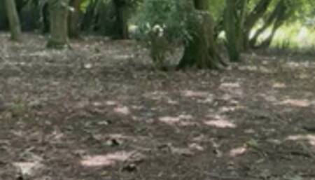 BBW mac book crush in the mud with new rocks