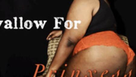 Swallow For Prinxess