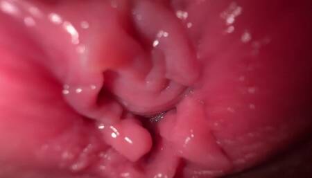 Close up Wide Pussy Spreading and Dirty Talk