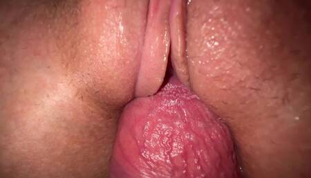 Close up Creamy Pussy Fuck