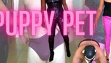 PUPPY PET MODELS & SNIFFS HIS GRANNY PANTIES FOR HIS TWO EBONY DOMS