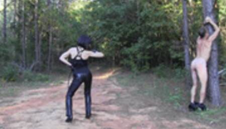 Bullwhipped Because I Feel Like It (WMV HD)