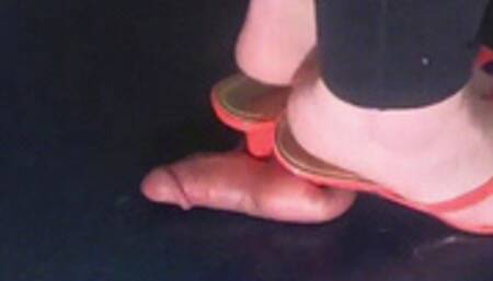 Anika's Marking Mules! SD