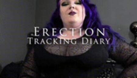 Erection Tracking Diary (wmv)