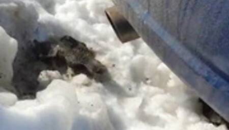 Wanda & Lysa Creating Black Snow