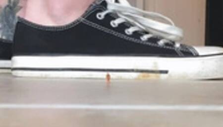 Sneakers and Crackers