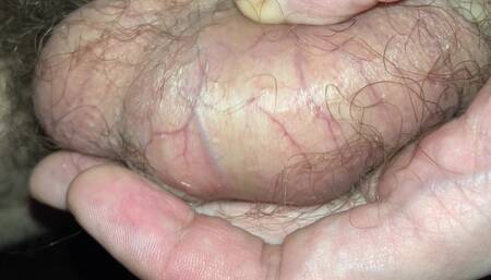 Close-up look at my extremely hairy uncut dick and sweaty veiny balls