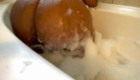 From the bath tub to the toilet - too nasty