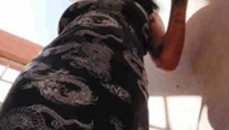 Giantees VORE Giantess finds a tiny shrunken man puts him in her purse takes him home puts him in a tiny house and eats him showing her full belly