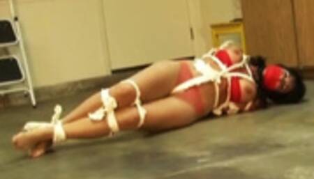 Gina Rae's wriggle for freedom in torn sheets WMV