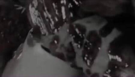 Claire vs Licker - v6