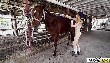 Kristy May Rides A Stallion P1