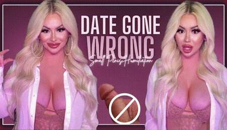 1st Date Gone Wrong (1080 WMV)