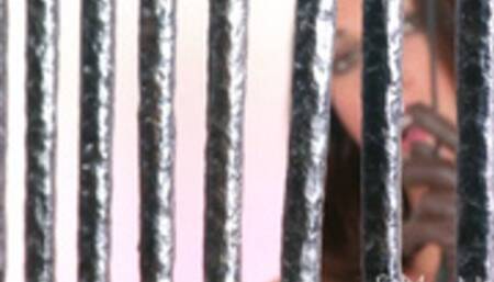 Easy Rider Jodhpurs - 1080