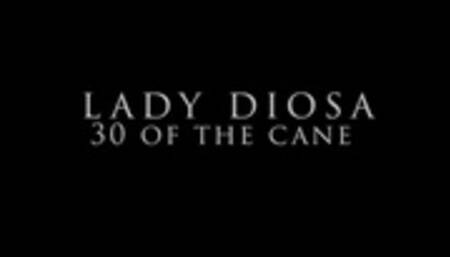 30 strokes of the cane