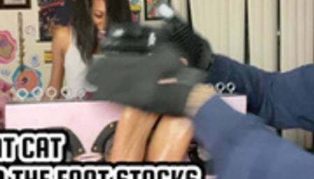 THAT CAT AND THE FOOT STOCKS