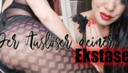 Auslöser deiner Ekstase (kleine Version)