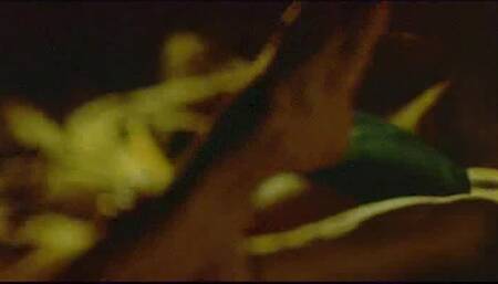 Meg Ryan bj scene