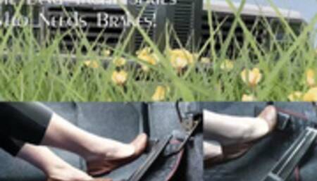 The Land Yacht Series: Who Needs Brakes! (mp4 720p)