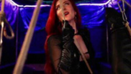 Predicament Bondage: Teamwork (wmv)