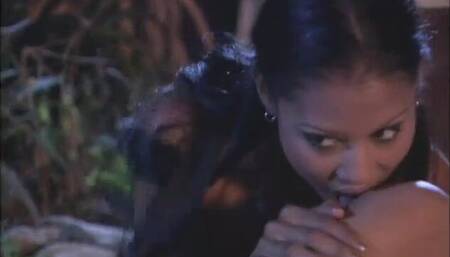 Lily thai campfire lesbians