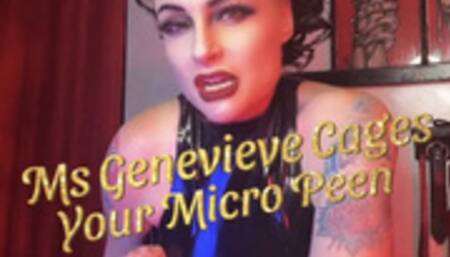 Your micro peen makes mistress laund star, JOI