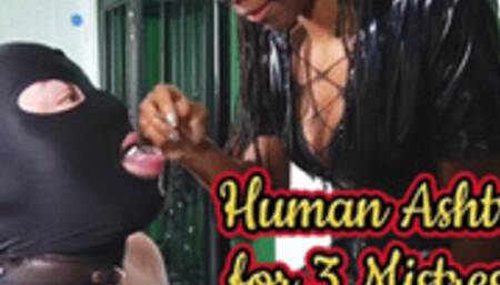 Human ashtray for 3 Black Mistresses