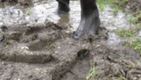 Poor stuffed Toys under strong Wellies