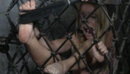 wheel of pain part 2 - wmv 1080p