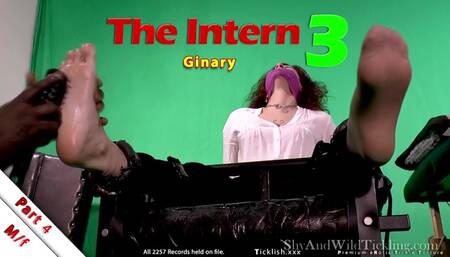 The Intern 3 Part 4