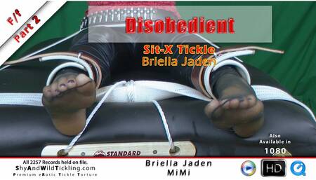 Disobedient: Briella's Sit-X Tickle - (nylons)