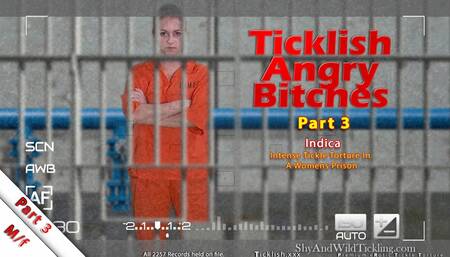 Ticklish Angry Bitches - Part 3