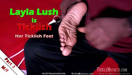 Layla Lush Is Ticklish - Part 3 - Her Ticklish Feet