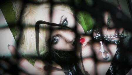 TRAPPED INSIDE MY SPIDER WEB