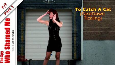 The Spy Who Shamed Me - Part 1 - To Catch A Cat (Nylon Foot Tickling)
