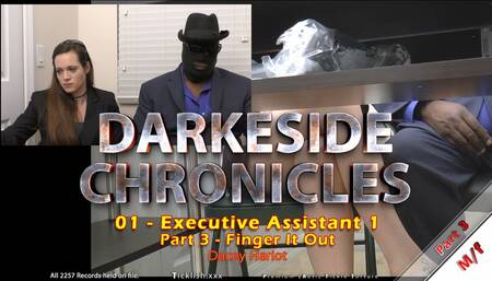 Darkeside Chronicles 01 - Executive Assistant 1 - Part 3