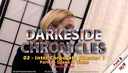 Darkeside Chronicles 02 - Inter-Corporate Director 1 - Part 2