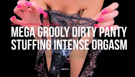 Mega Grooly Dirty Panty Stuffing Intense Orgasm (ES644)