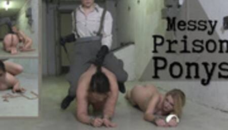 Messy Prison Ponys - CruelAlice Lolicoon ponygirls prison play wet and messy humiliation handcuff and shackle fetish ponyplay